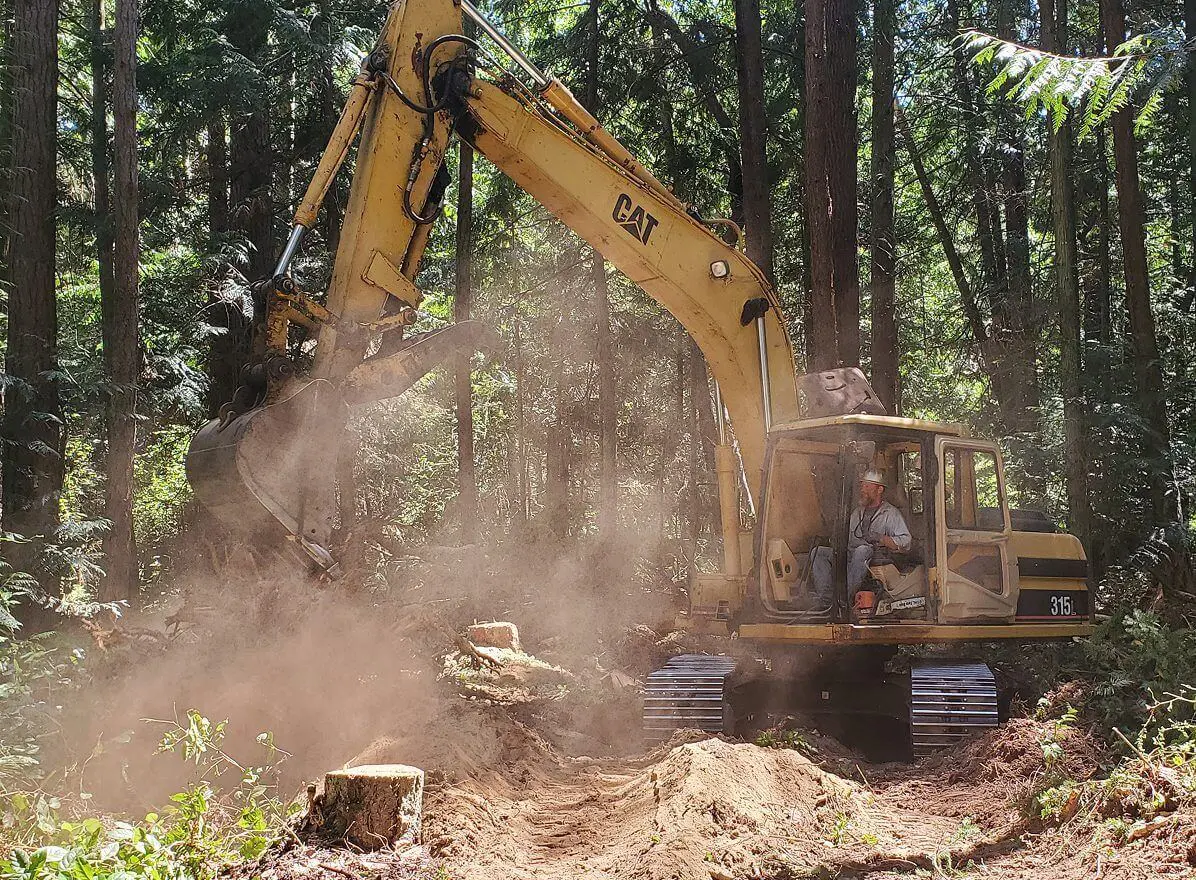 Excavator clearing forest area with operator inside.
