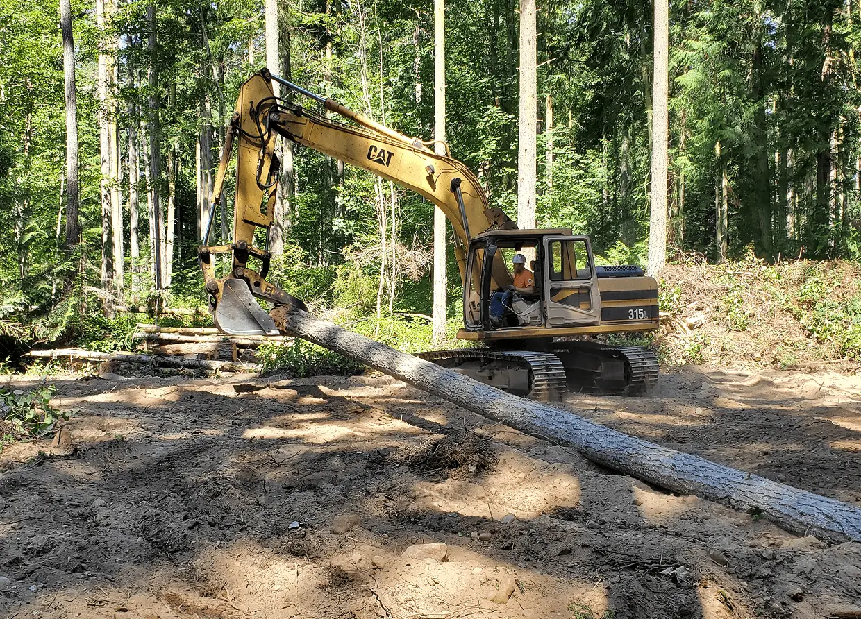 Excavator moving a fallen tree in forest.